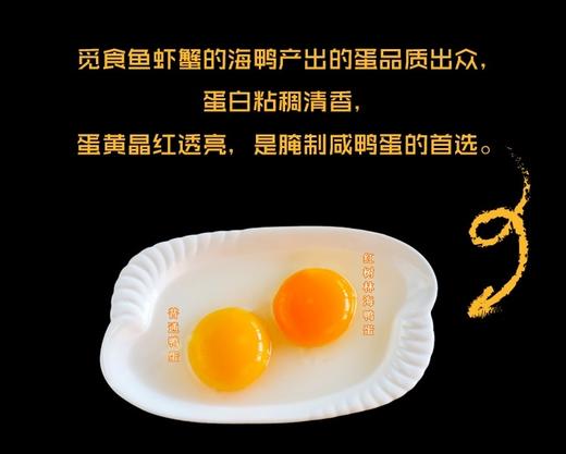 涠洲船说海鸭蛋 商品图5
