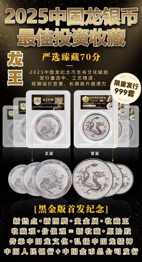中国龙银币 单枚