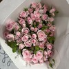 国产多头玫瑰花完美甜蜜10支 商品缩略图9
