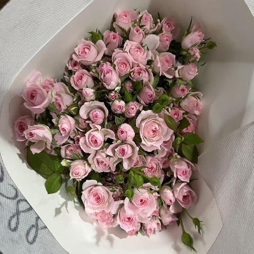 国产多头玫瑰花完美甜蜜10支 商品图9