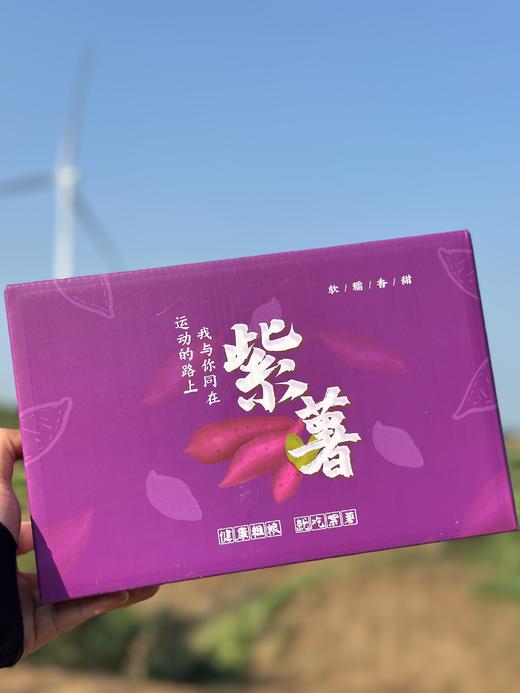 【吉耕严选】紫薯 |香甜软糯无丝|低脂粗粮，可蒸可烤，低脂低热量 商品图0