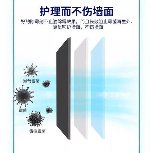 【墙体除霉剂】墙面去霉斑污渍清洁剂墙面除霉发霉清除剂墙体除霉喷剂 商品图2