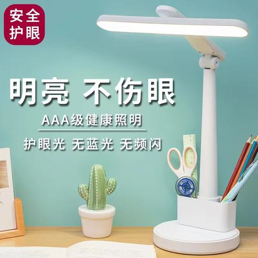 【积分】护眼充电插电台灯 商品图0