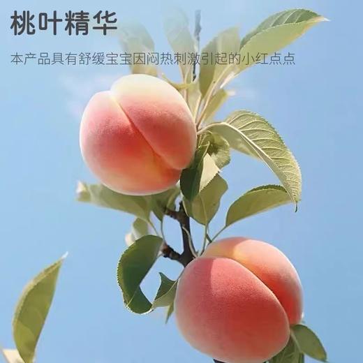 【春上新】8楼拉比婴儿爽身露（含桃叶精华）吊牌价68 商品图2