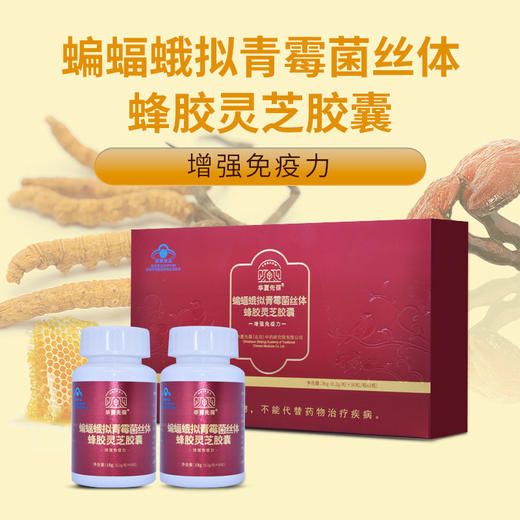 华夏先葆蝙蝠蛾拟青霉菌丝体蜂胶胶囊 商品图1