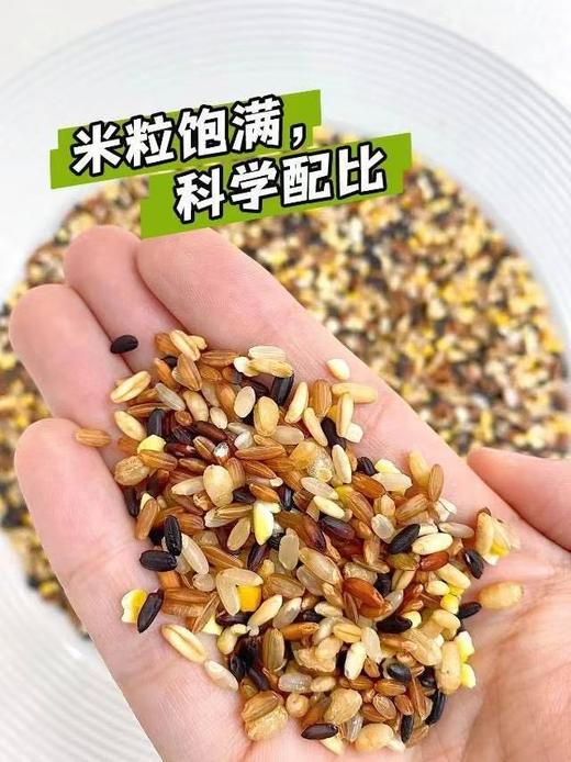 周六取货：【七色糙米饭团】一个100克，健康杂粮配比，均衡美味与营养。 商品图5
