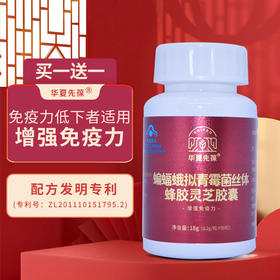 华夏先葆蝙蝠蛾拟青霉菌丝体蜂胶胶囊
