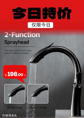 MS：181全铜冷热菜盆龙头