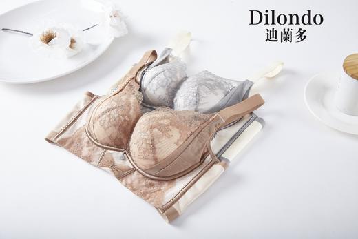 迪兰多文胸小胸中薄杯聚拢舒适2118460 商品图5