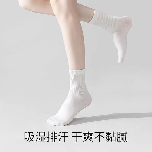 副歌速吸快干不闷脚高棉中筒袜男女同款情侣款5双装 商品图1