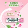 绿箭口香糖5片装 - 玫瑰薄荷13.5g 商品缩略图0