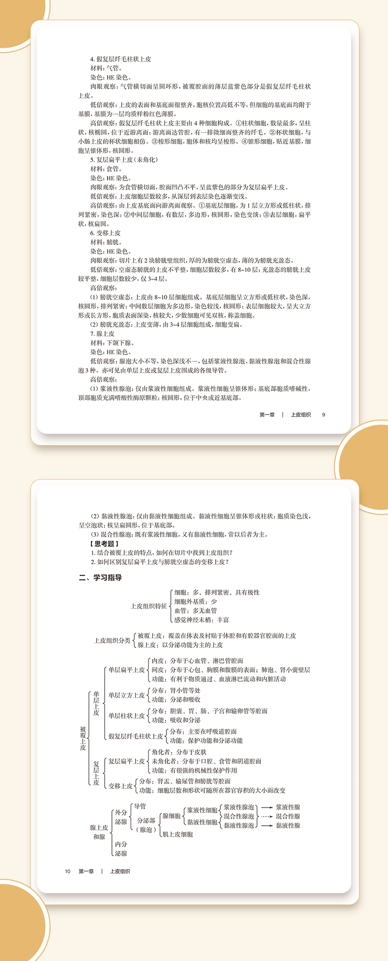 科普1_05.jpg