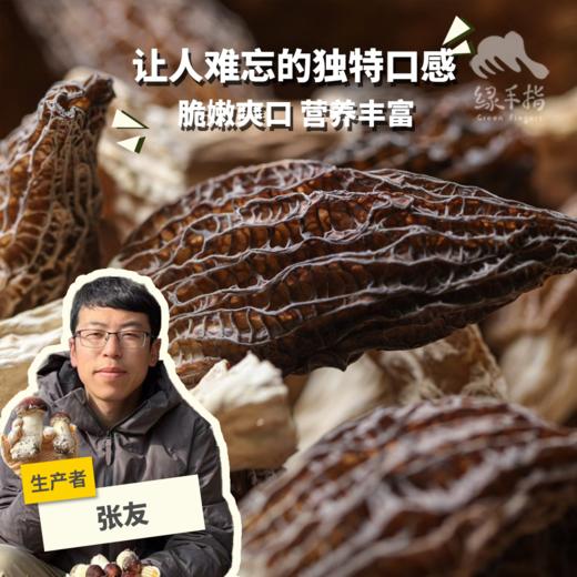 生态羊肚菌干 | 合作生产*  Ecological morel Dried | Coproduction 商品图0