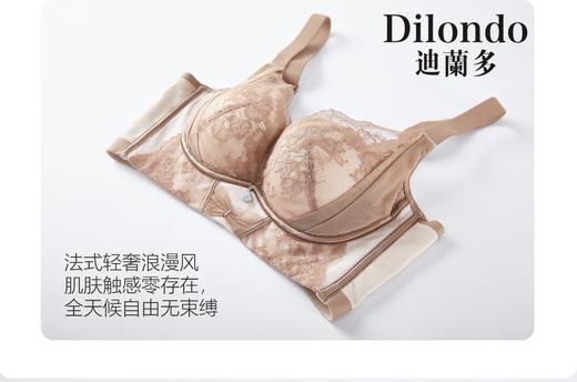 迪兰多文胸小胸中薄杯聚拢舒适2118460 商品图6