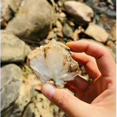 亲子徒步博物探索营次卡 | 每周一山，从春走到冬，与孩子做山野的朋友，解锁博物成长年卡！！ 商品图4