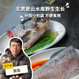 野生胖头鱼分段| 合作生产 * Wild Fat headed Fish | Partner Production
