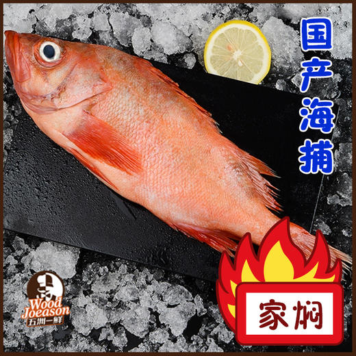 [海红斑鱼] 500g 国产海捕 清蒸/家焖 商品图0