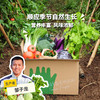 【总仓】家庭蔬菇豆蛋一年份额（客服打电话确认后发）| 绿家自产*EcoFresh Yearly | In-House Production 商品缩略图0