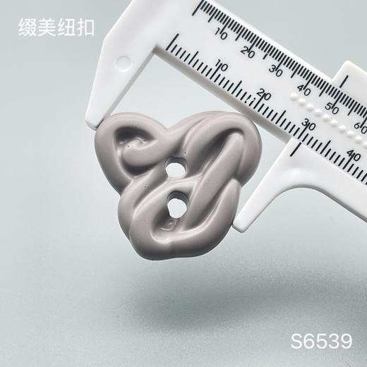 S6539(整包购买) 商品图4