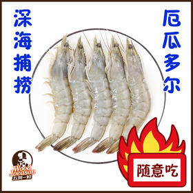 [盐田海虾] 1650g/约60头 厄瓜多尔  煮/蒸/煎/烤