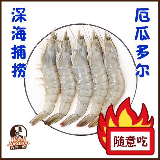 [盐田海虾] 1650g/约60头 厄瓜多尔  煮/蒸/煎/烤 商品图0