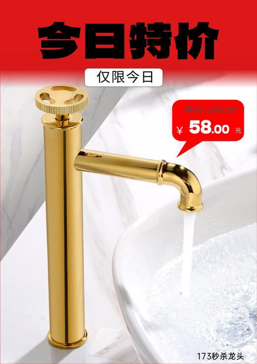 MS：173金色单冷面盆龙头-高 商品图0