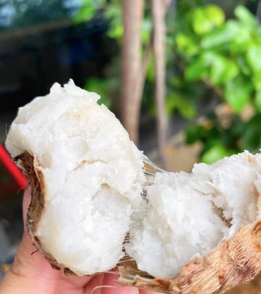 周一取货：【拉丝牛奶芋头】一袋3斤左右，营养丰富！香滑软糯，老少皆爱！ 商品图0