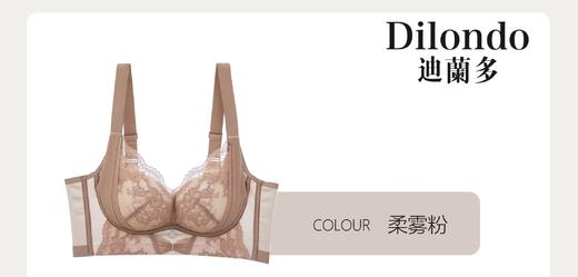 迪兰多文胸小胸中薄杯聚拢舒适2118460 商品图7