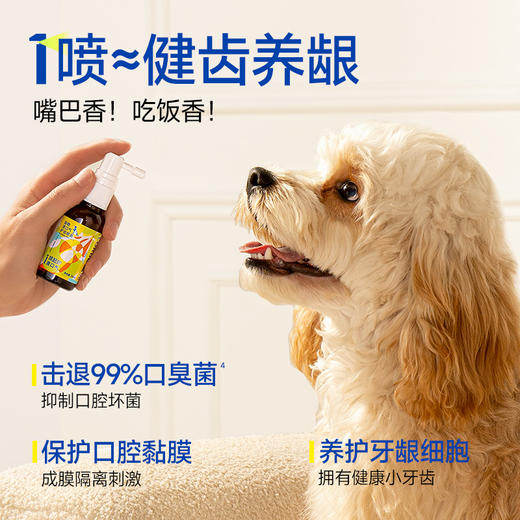 【新品上市】LORDE里兜宠物清口气护齿喷雾30ml 商品图4