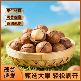 夏威夷果100g*1袋