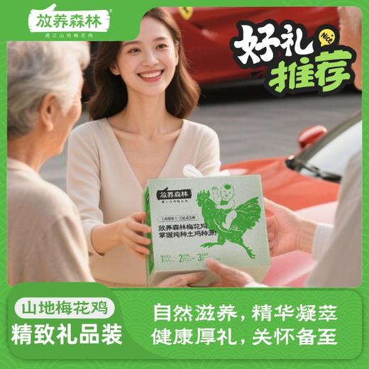 放养森林精品山地梅花鸡礼盒装 商品图2