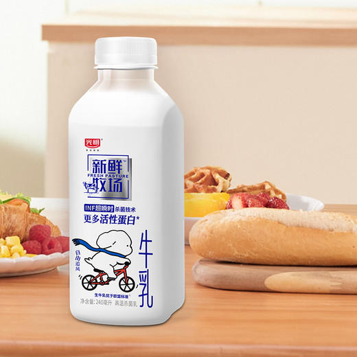 光明新鲜牧场INF牛乳240ml，保质期25天 商品图2