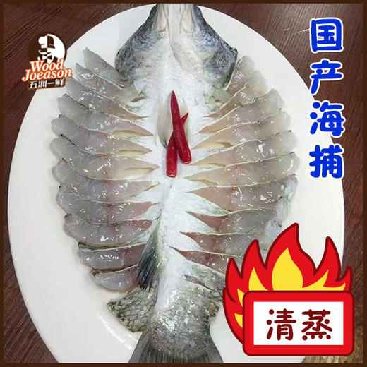 [功夫麒麟斑鱼] 500g 国产海捕 清蒸/家焖 商品图0