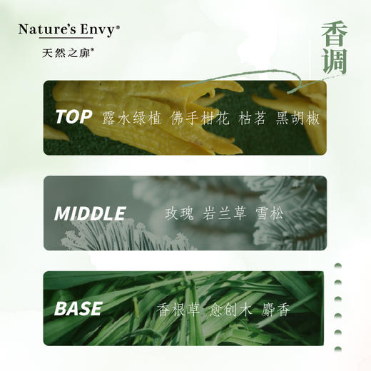 天然之扉香氛琥珀木香洗每日草本护发乳 商品图4