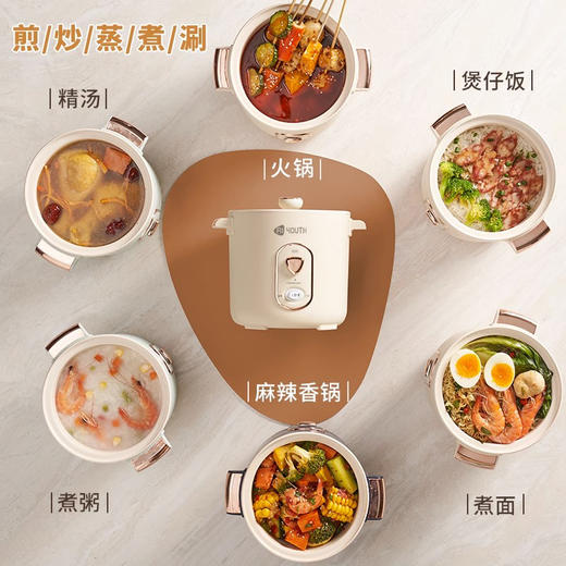 艾青春 迷你电饭锅WT-12J 商品图1
