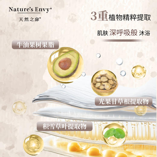 天然之扉纯净琥珀香氛沐浴露 商品图5
