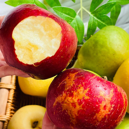 【顺丰包邮】苹果盲盒 苹果组合 多色多味 商品图1