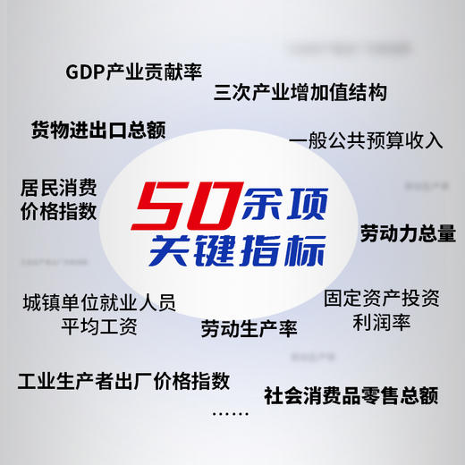 穿透数据：经济数据理解要点与分析应用 彭小江 AI大数据经济分析数据解读 GDP产业结构财政收支居民消费*业产业经管书籍 商品图3