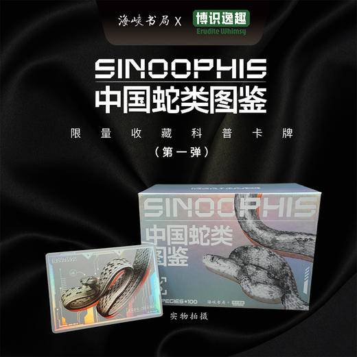 “中国蛇类图鉴【主题卡牌】” 蛇友 爬行爱好者爬友典藏 科普收藏卡【海峡书局 官方正版 48小时发货】 商品图3