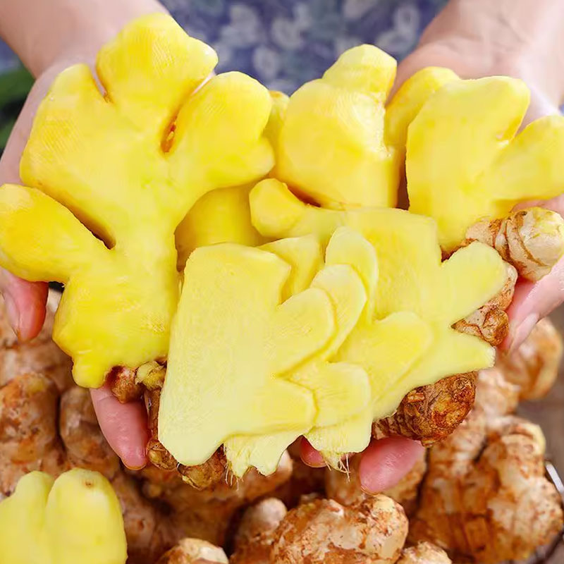 2025年新云南小黄姜，新鲜采挖，香味加倍