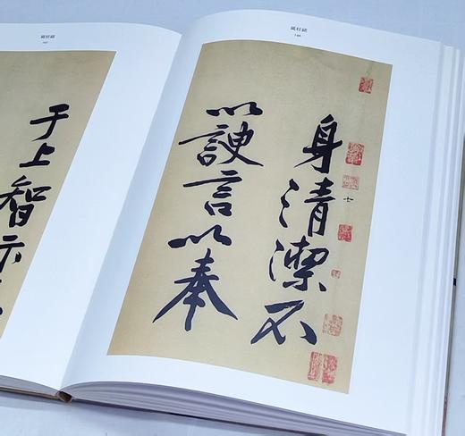 彩色放大中国著名碑帖名笔丛书之：《黄庭坚名笔》，布脊精装，8开，黄庭坚著，上海辞书出版社2020年一版，定价420，售价148元。（全新塑封包邮） 商品图8