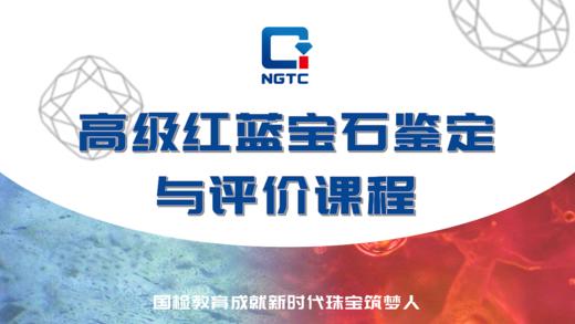 高级红蓝宝石鉴定与评价课程 商品图0