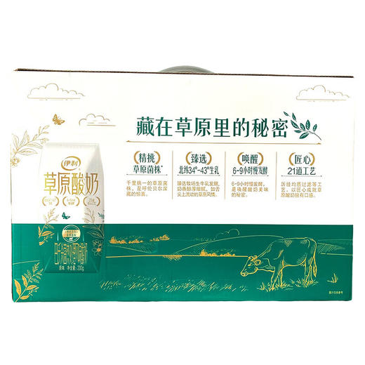 伊利草原酸奶200g*10瓶巴氏杀菌热处理风味酸奶原味整箱 商品图0