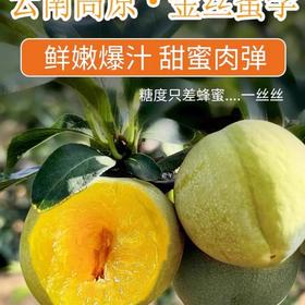 金丝蜜李约500G /份 /份