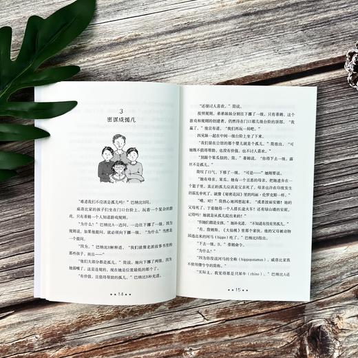 威洛比一家（全 2 册）| 纽伯瑞金奖得主作品。机智幽默、巧合离奇的家庭喜剧。 商品图7