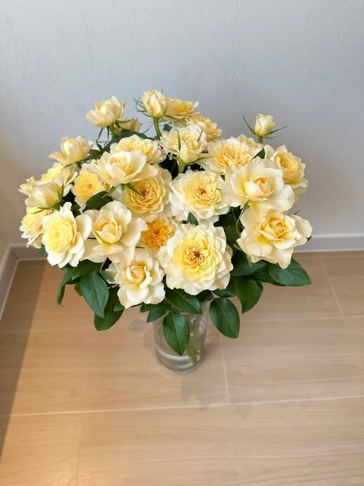 国产多头黄美琴玫瑰10支 商品图1