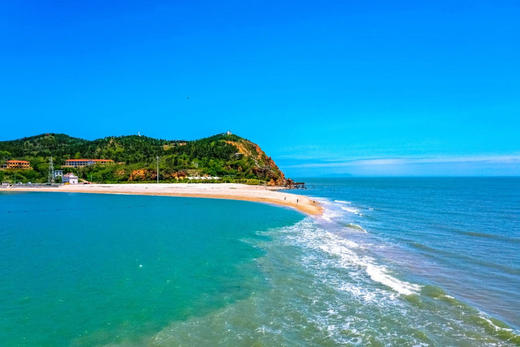 【长岛红贝肉】一口鲜掉眉毛！真正出口级长岛红贝🔹不泡药、不泡水、不挂冰，无泥无沙，只需要清水简单清洗即可烹饪🔹工厂整条流水线上都使用深海100米以下的纯净海水加工 商品图10