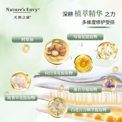 天然之扉香氛琥珀木香洗每日草本护发乳 商品图6