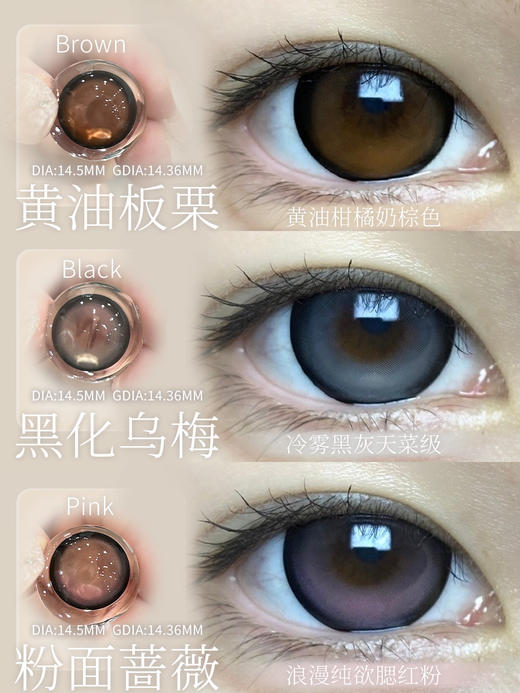 Jellydoll半年抛 粉面蔷薇/黄油板栗/黑化乌梅 14.5mm 黑棕粉 大着色14.3 商品图2