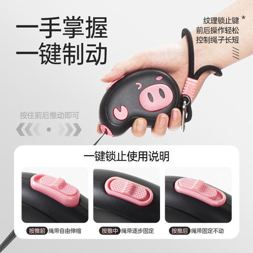 【双12秒杀】狗狗猫咪宠物牵引绳自动伸缩遛狗猫绳链中小型犬猫通用比熊泰迪 商品图2